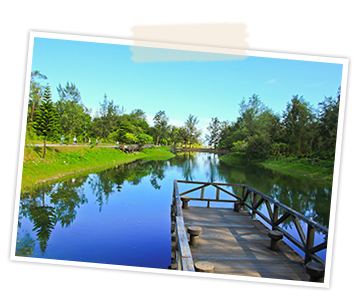 台東森林公園 台東森林公園