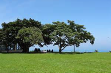 東海岸國家風景管理處