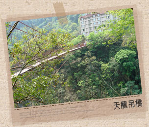 天龍吊橋