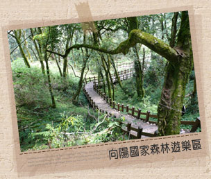 向陽森林遊樂區