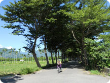 龍田自行車道